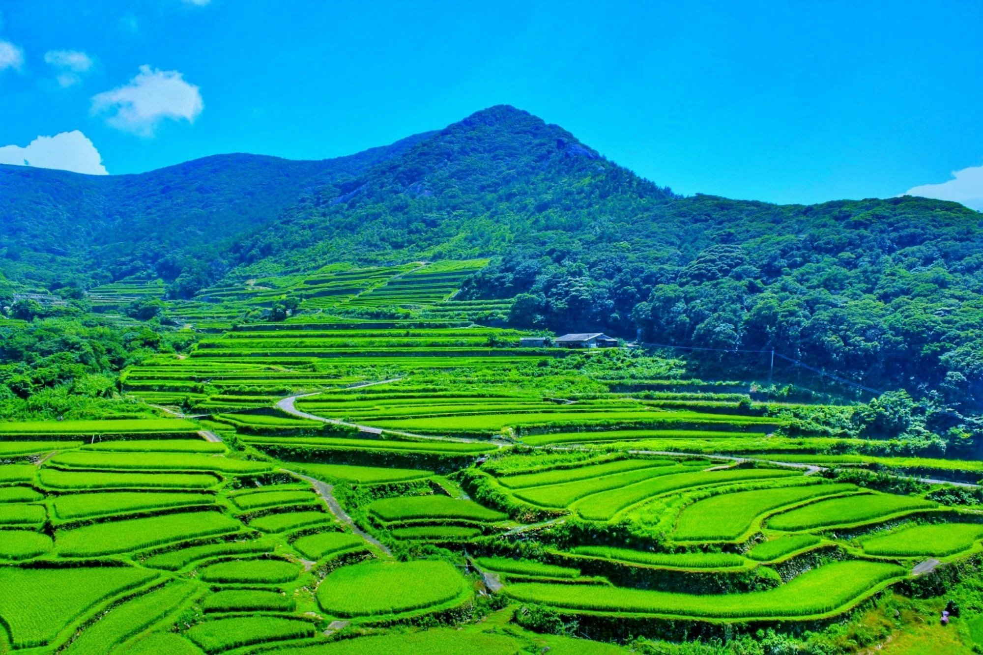 🌾 가스가 계단식 논 (가스가노타나다) 이미지 3